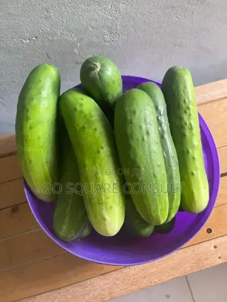 Cucumbers for Sale