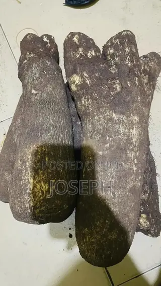 Fresh Yam for Sale From 50 Tubers