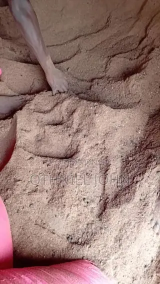 Palm Kernel Cake for Sale in Bulk