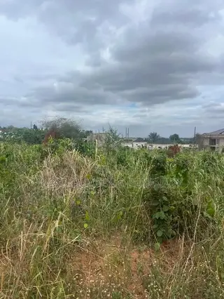 Half Plot of Land for Sale in Valley View