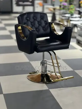 Salon Luxury Chair
