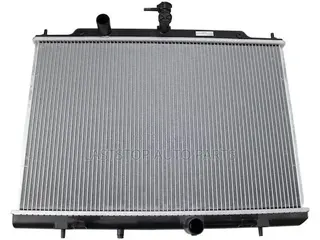 Nissan Chevrolet City Express Radiator [Water Tanks] - To All Areas.