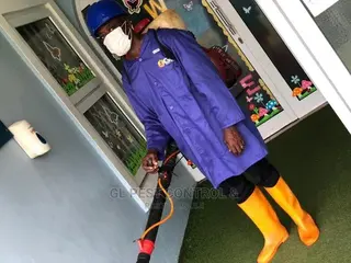 Most Effective Bedbug Fumigation