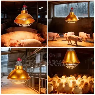 Complete Heat Lampshade