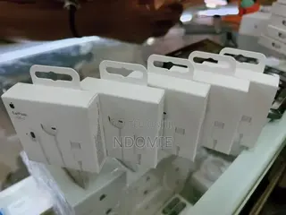 Original Apple EarPods(USB-C)