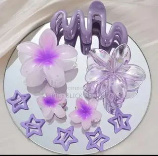 10 in 1 Claw Clip
