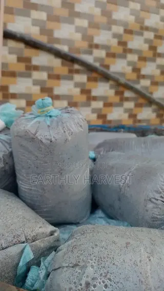 Mushroom Readymade Substrate Bags for Sale