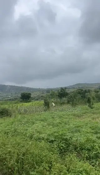 One Plot of Land