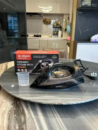 Big Size Steam Iron