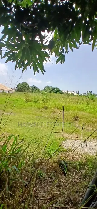 Land at Tech Donyina