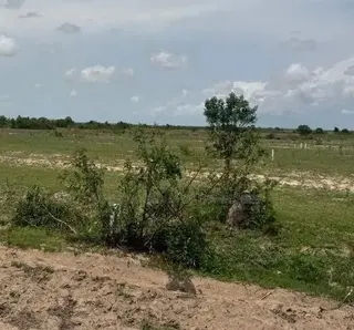 No Land Guard!buy 100/Litigation Free Plot in Prampram_Madula Group