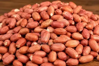 Peanut (Groundnut)