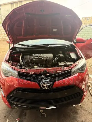 Toyota Corolla Le 2019 Red Home Used