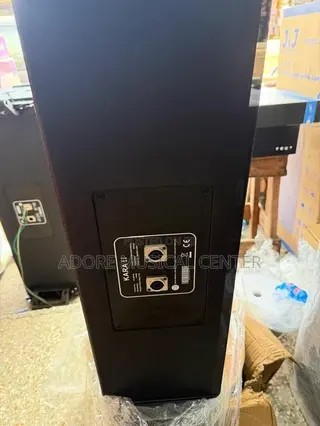 Karall 10inches All Black Line Arrays Speaer 1pair