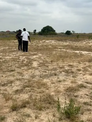 A Half Plot. A Full Dream.