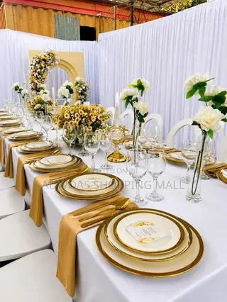 Napkins for Table Setup/Folding Napkin