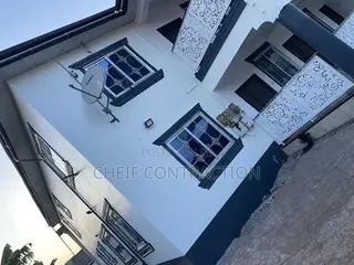 Professional Painter