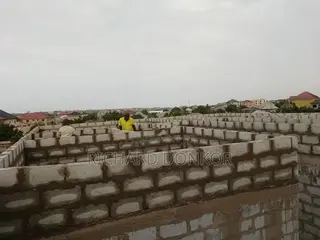 Professional Mason