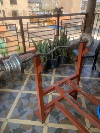 Gym Bar and Bench