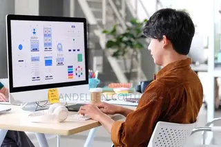 Professional Website Designer