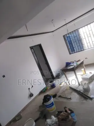 Professional Painter