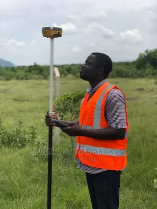 Surveyor Services
