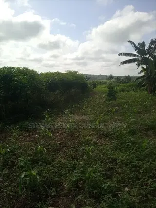 Alpha Land for Sale at Gomoa Buduatta