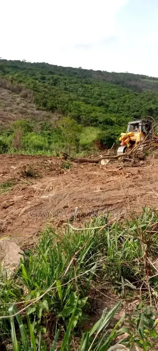 Land Sales
