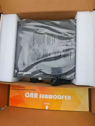 Car Subwoofer 10 Inches
