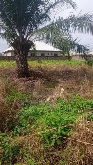 Roadside Land for Sale