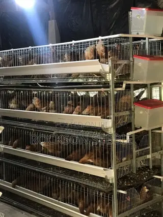 Battery Cage