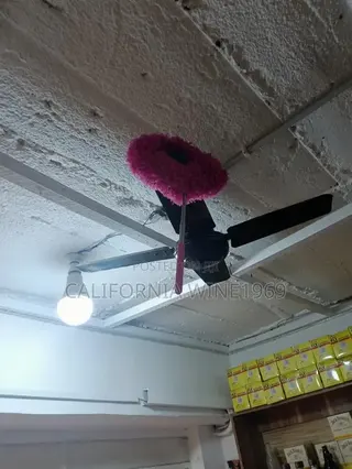 Fan Cleaner