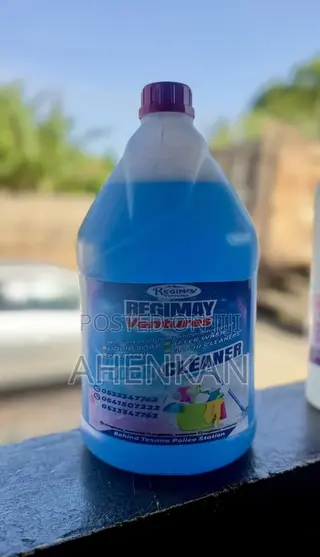 Floor Cleaner Regimay