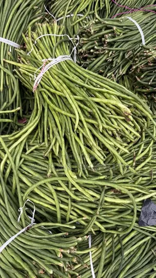 Green Beans 1 Bunch