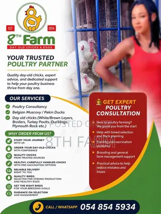 Sale of Day Old Chicks / Poultry/Animal Farming Consultancy