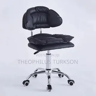 Salon Chair