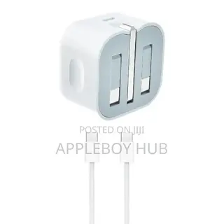 iPhone 20 Watts 3 Pin Head and C-C Cable
