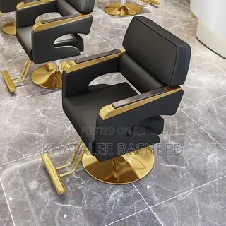 Salon Chair