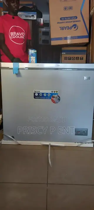 Led Light 251ltrs Freezer