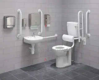 Professional in Plumbing Works