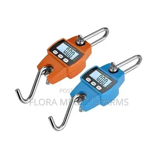 300kg Hanging Scale