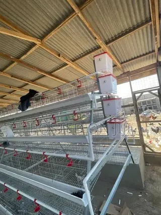 A Type Chicken Cage