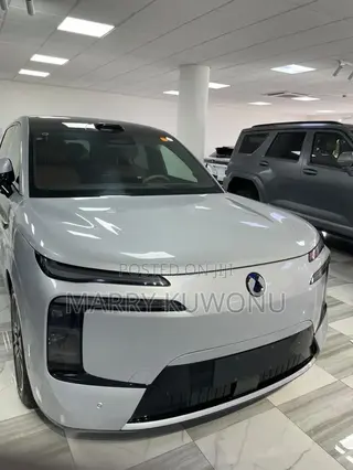 New Denza N9 2.0 Hybrid AWD 2025 Silver