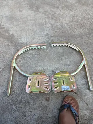 Climbing Shoe