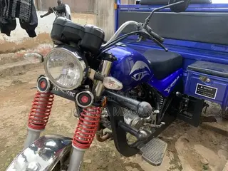 Tricycle 2025 Blue
