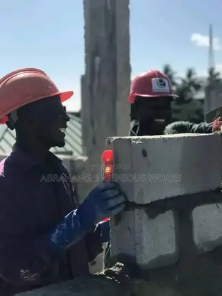 The Abrahams Building and Construction Inc