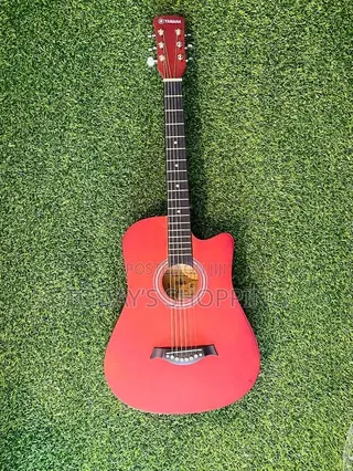 Acoustic Guitar