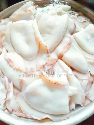 100 Kilos Full Dressed Fresh Squid/Octopus