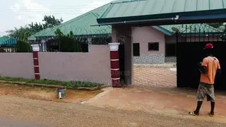 Painting And Walltreatment