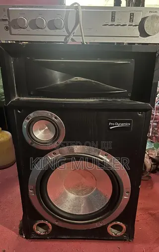 Amp and Big Speaker